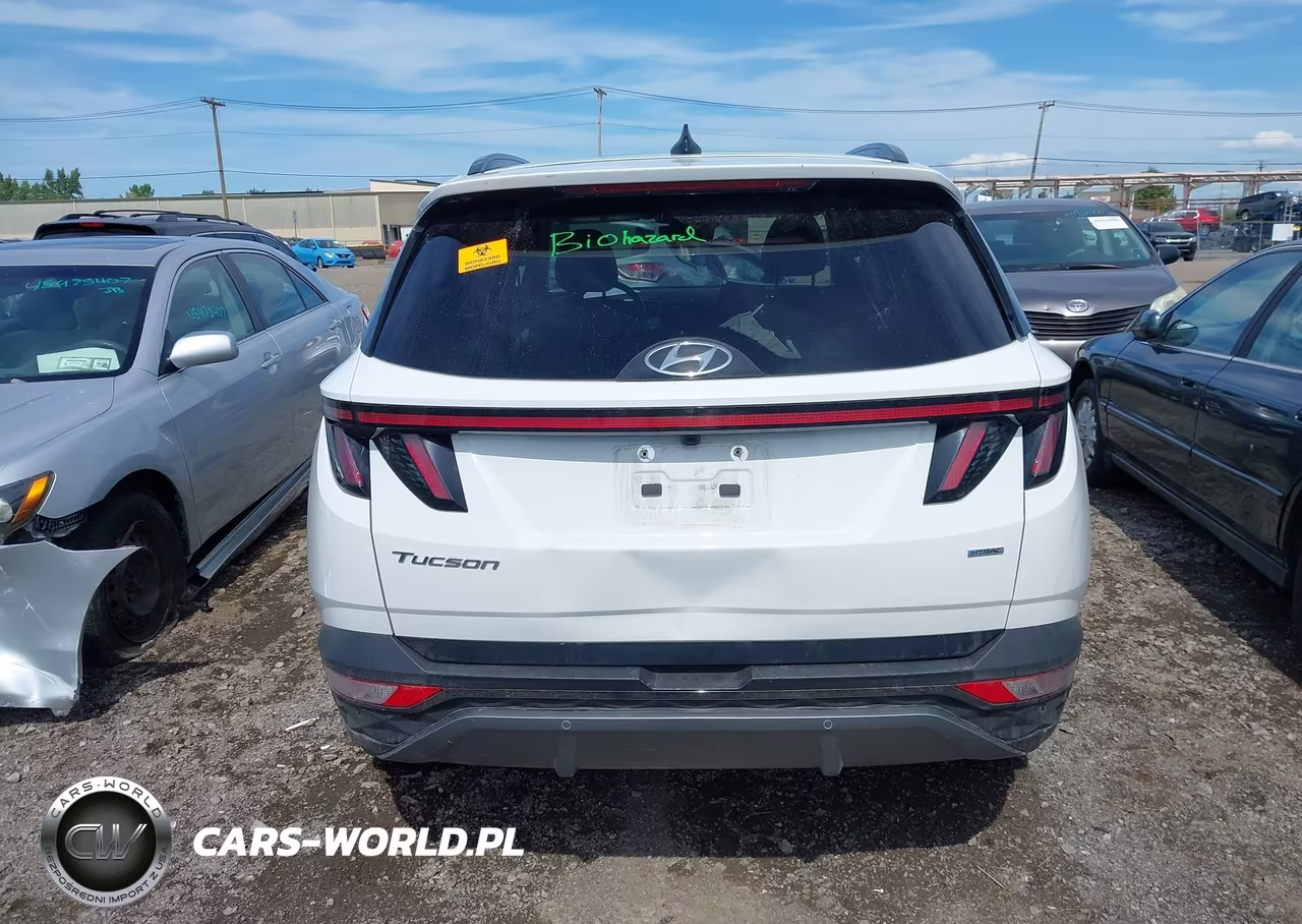 2024 Hyundai Tucson Limited VIN:5NMJECDE4RH407992 - 17