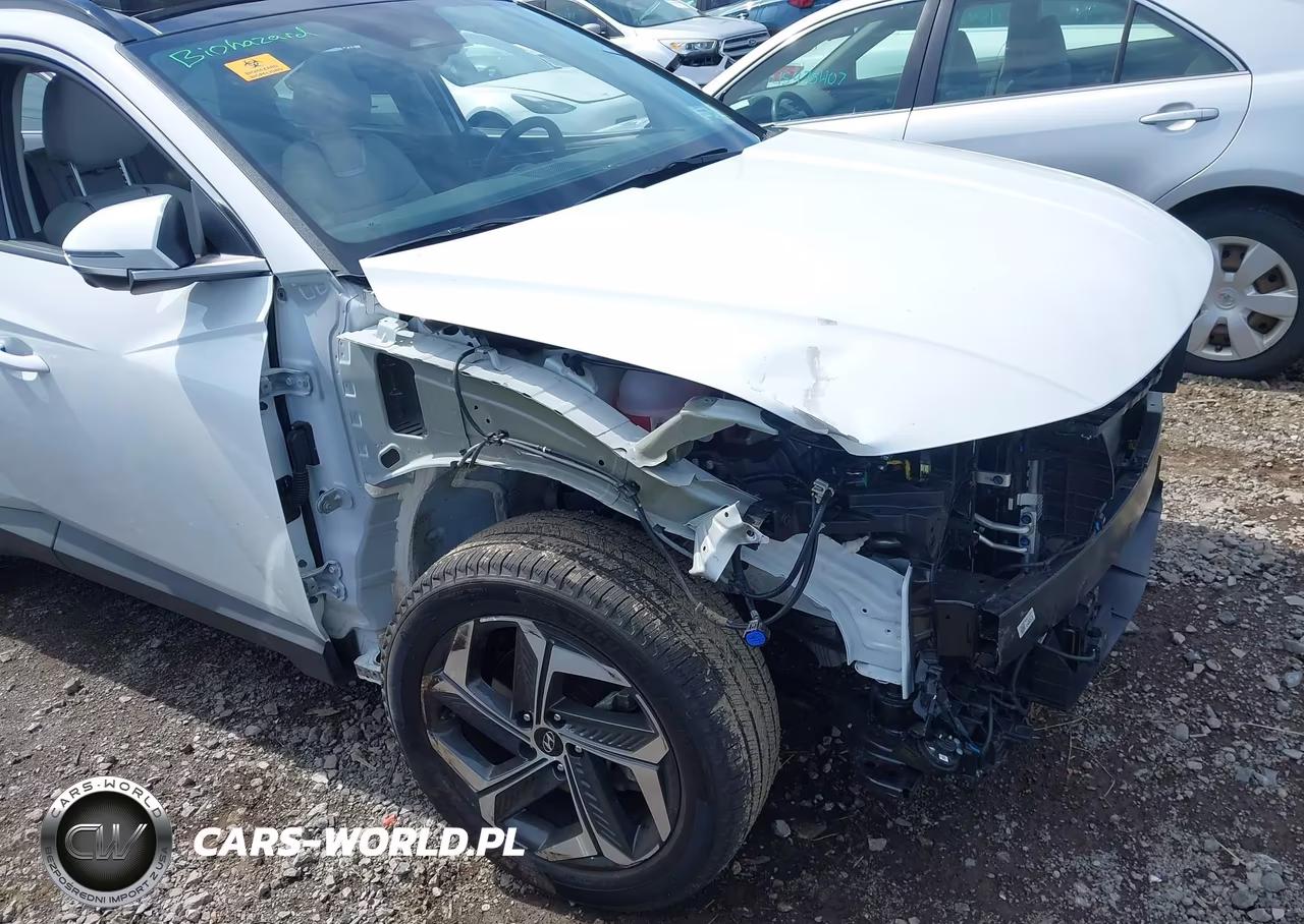 2024 Hyundai Tucson Limited VIN:5NMJECDE4RH407992 - 19