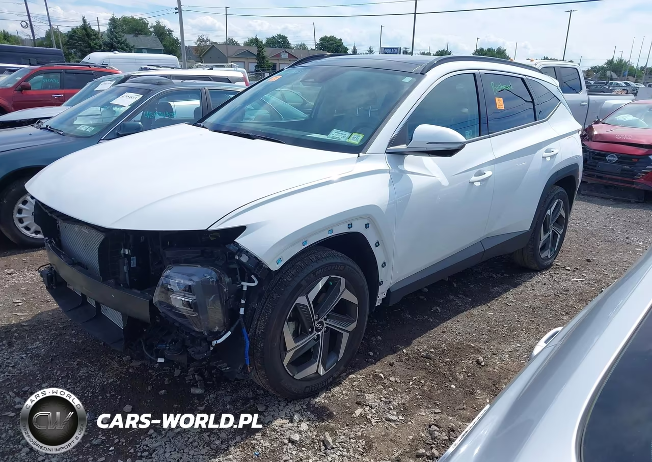 2024 Hyundai Tucson Limited VIN:5NMJECDE4RH407992 - 2