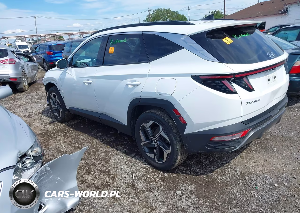 2024 Hyundai Tucson Limited VIN:5NMJECDE4RH407992 - 3