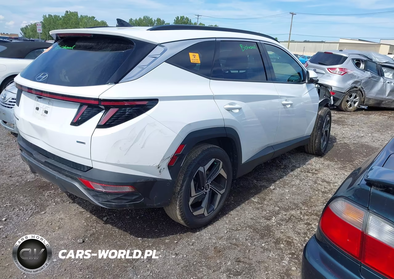 2024 Hyundai Tucson Limited VIN:5NMJECDE4RH407992 - 4