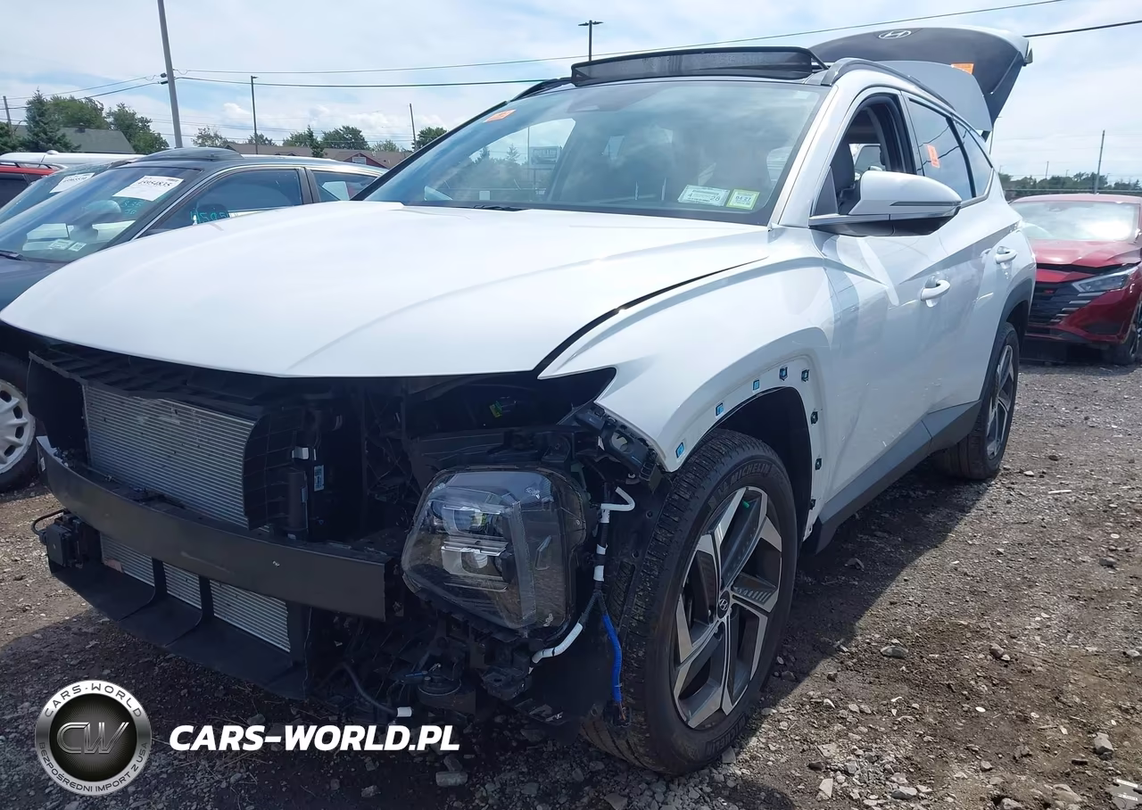 2024 Hyundai Tucson Limited VIN:5NMJECDE4RH407992 - 6