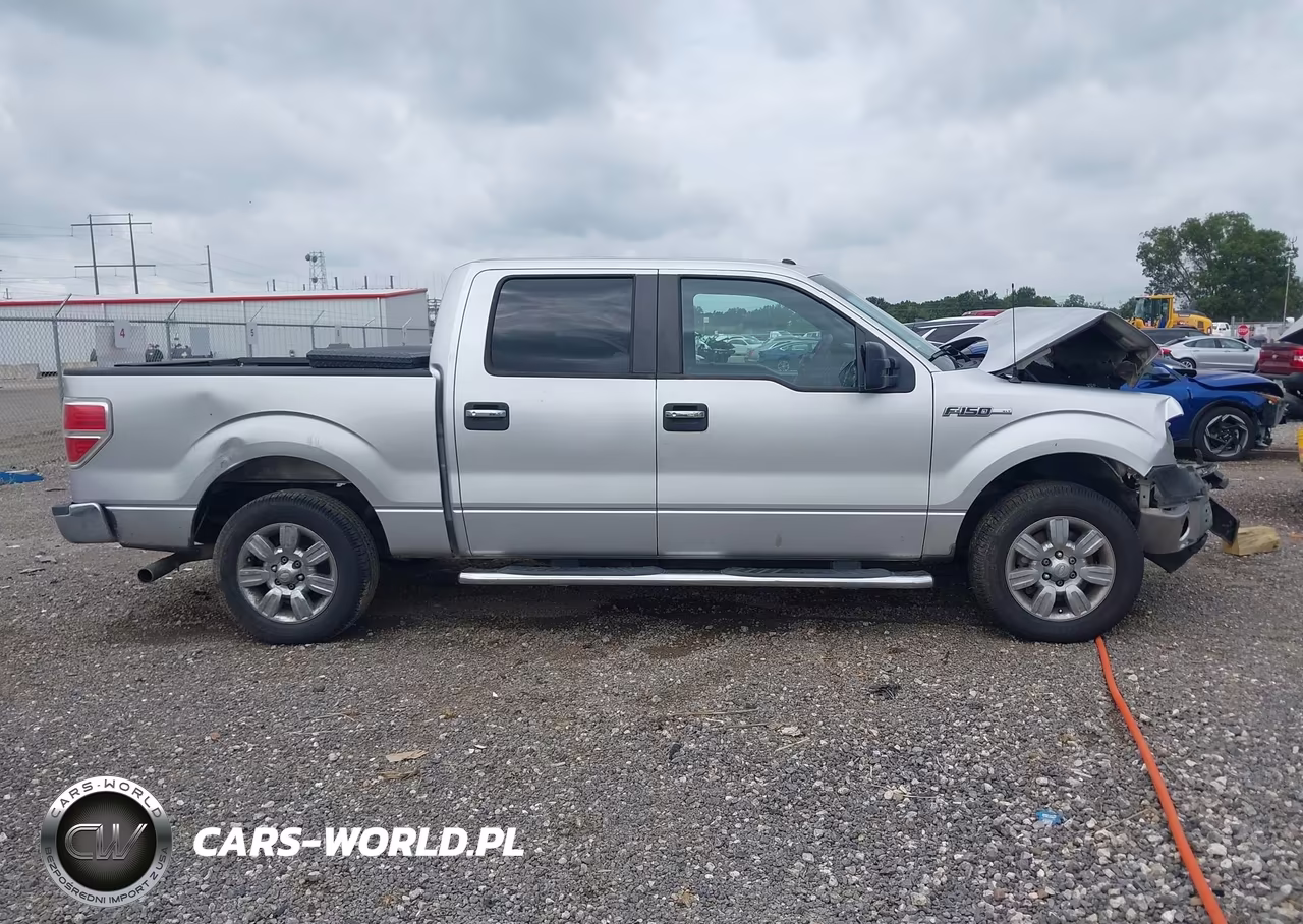 2010 Ford F-150 Fx2 Sport-Xl-Xlt VIN:1FTEW1C82AFD78797 - 14