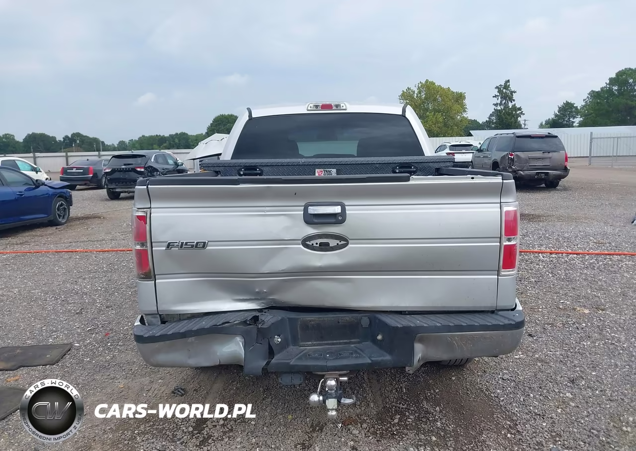 2010 Ford F-150 Fx2 Sport-Xl-Xlt VIN:1FTEW1C82AFD78797 - 17