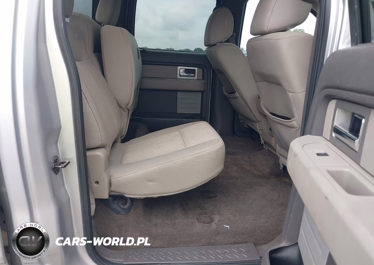 2010 Ford F-150 Fx2 Sport-Xl-Xlt VIN:1FTEW1C82AFD78797 - 8