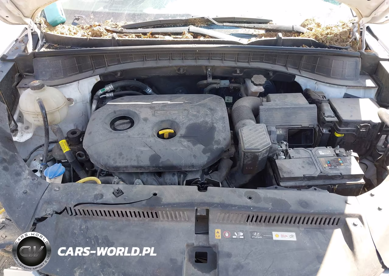 2019 Hyundai Tucson Se VIN:KM8J2CA40KU983903 - 10