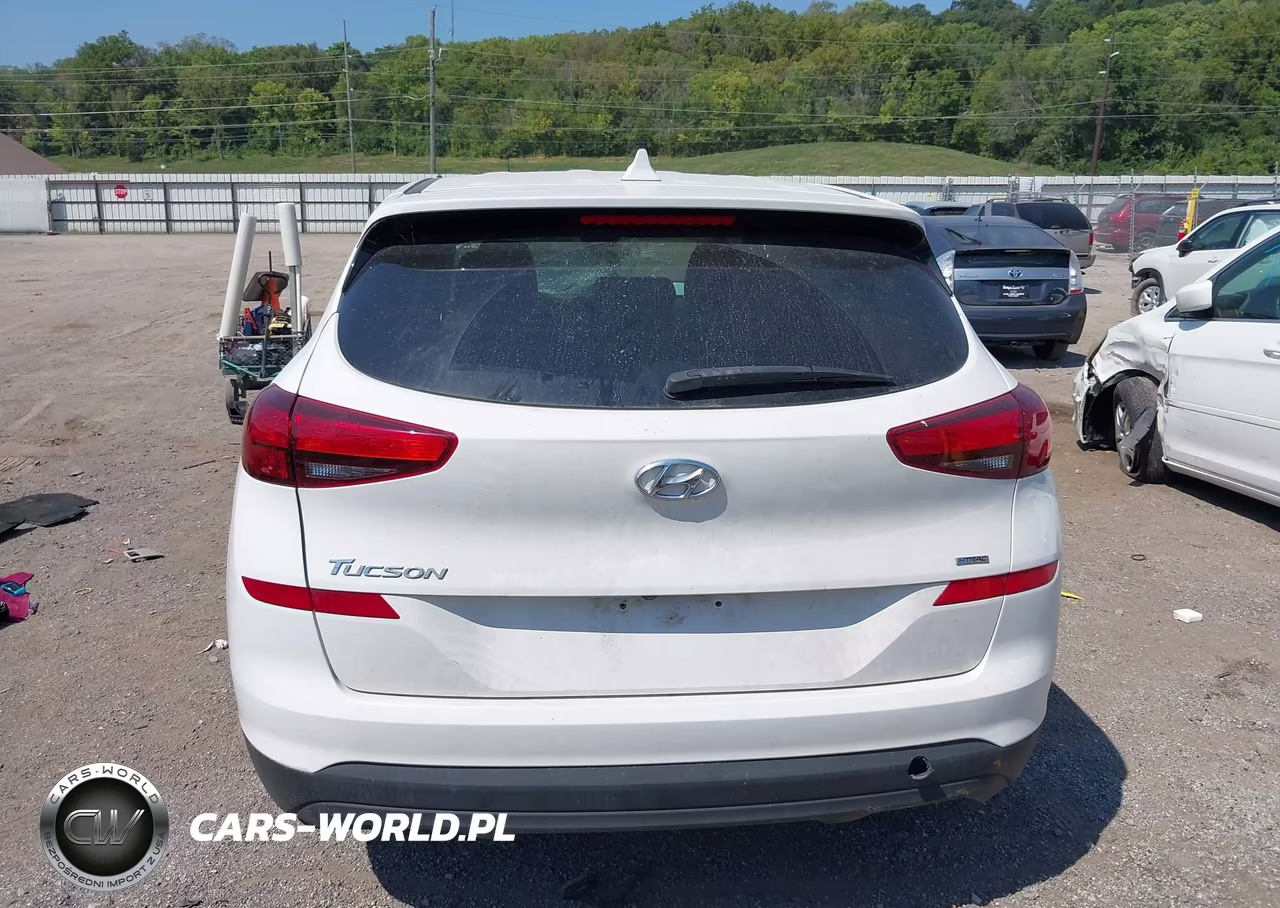 2019 Hyundai Tucson Se VIN:KM8J2CA40KU983903 - 17