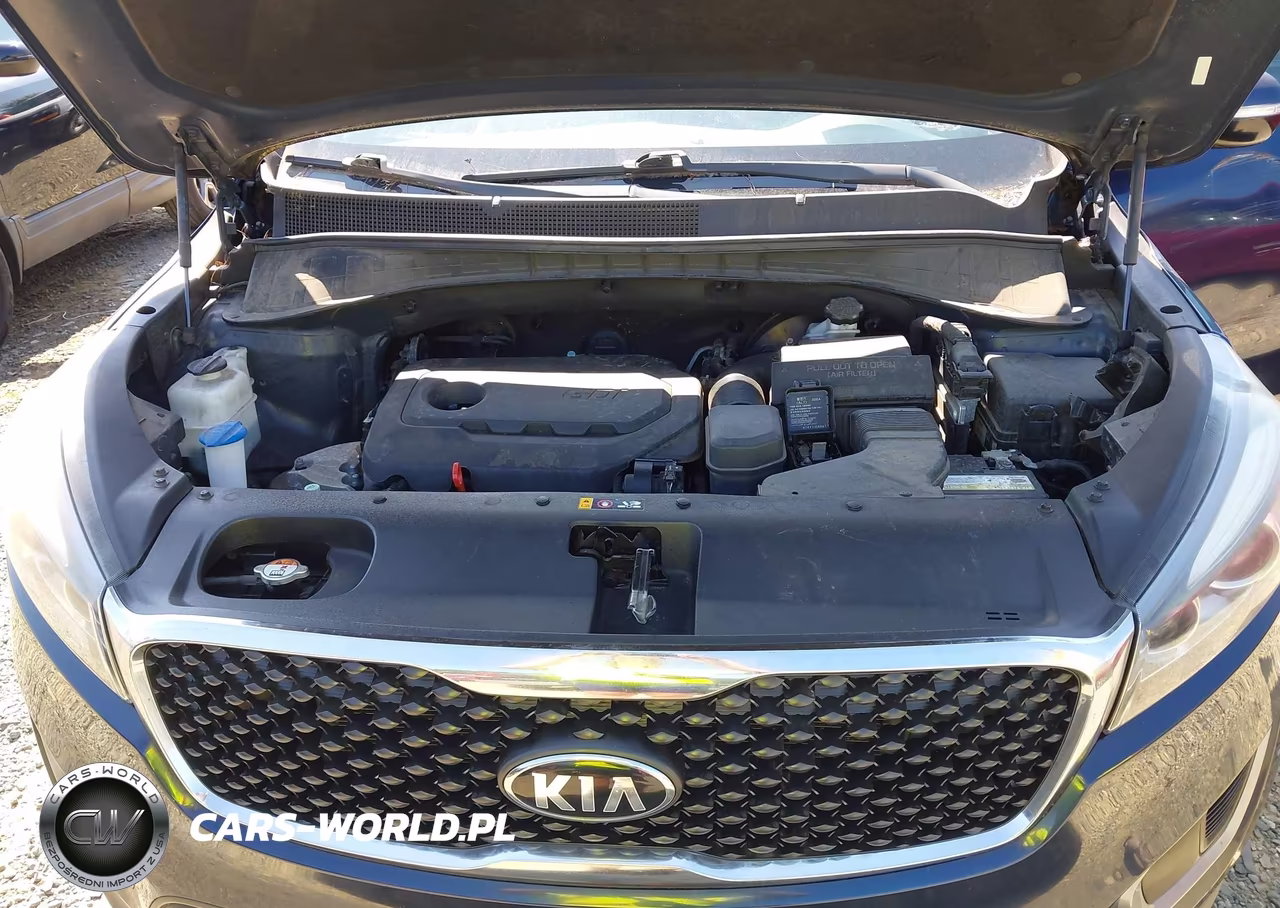 2017 Kia Sorento 2.4L Lx VIN:5XYPG4A35HG299923 - 10