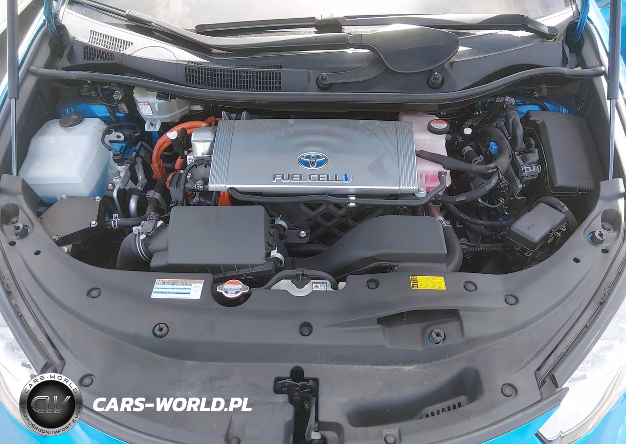 2018 Toyota Mirai VIN:JTDBVRBD0JA005452 - 10