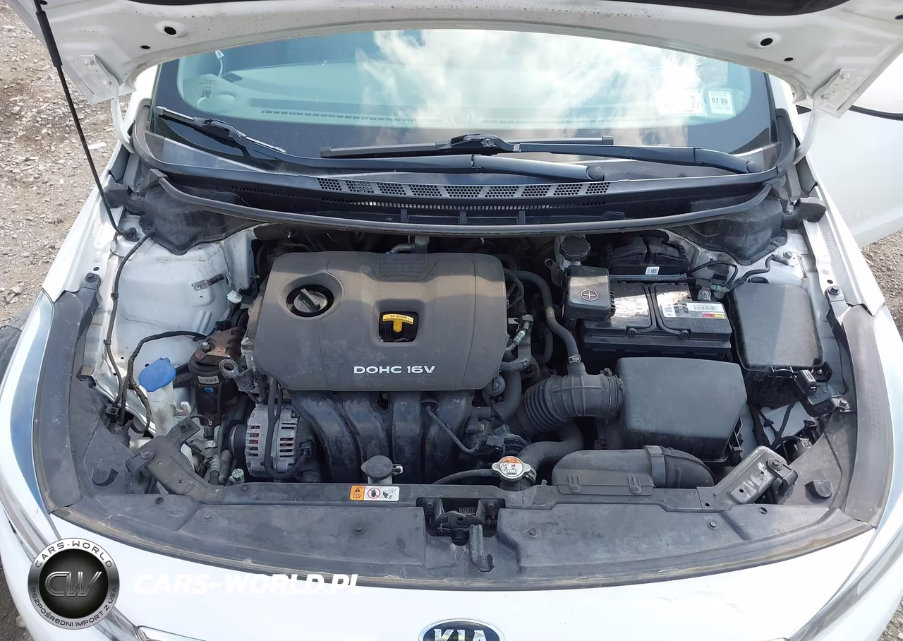 2017 Kia Forte Lx VIN:3KPFK4A73HE069923 - 10