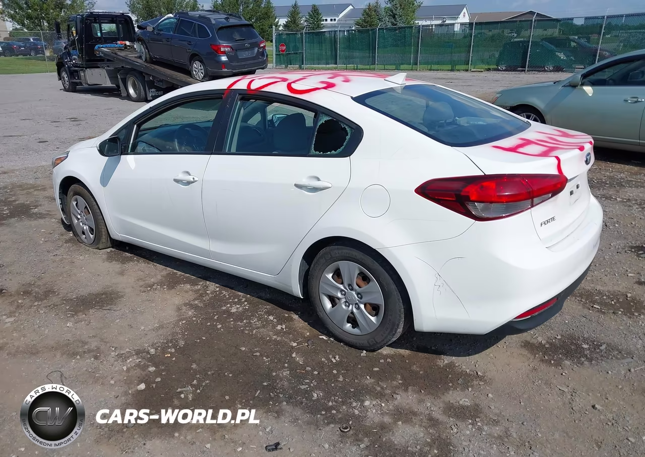 2017 Kia Forte Lx VIN:3KPFK4A73HE069923 - 3