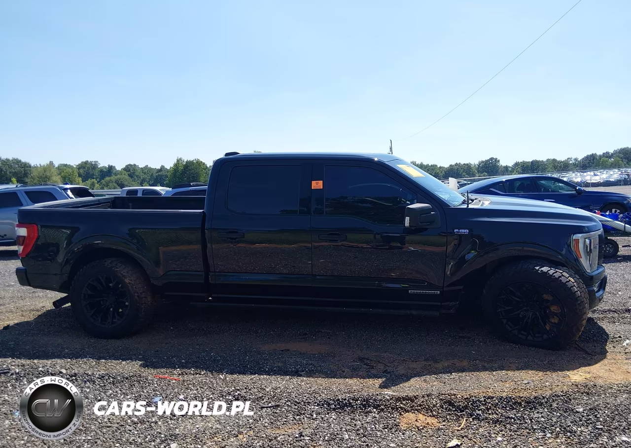 2021 Ford F-150 Platinum VIN:1FTFW1ED0MFB61364 - 13