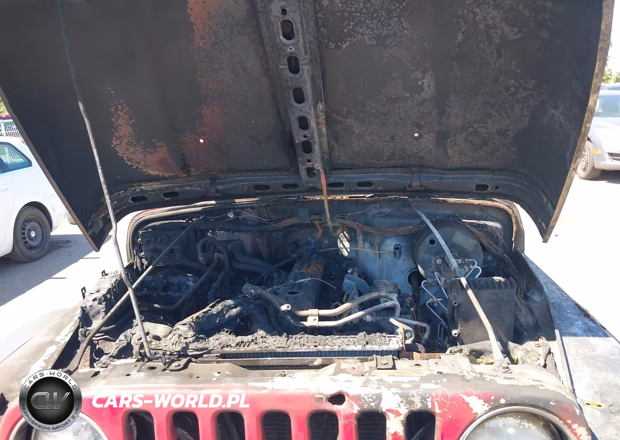 2004 Jeep Wrangler X VIN:1J4FA39S64P727132 - 10