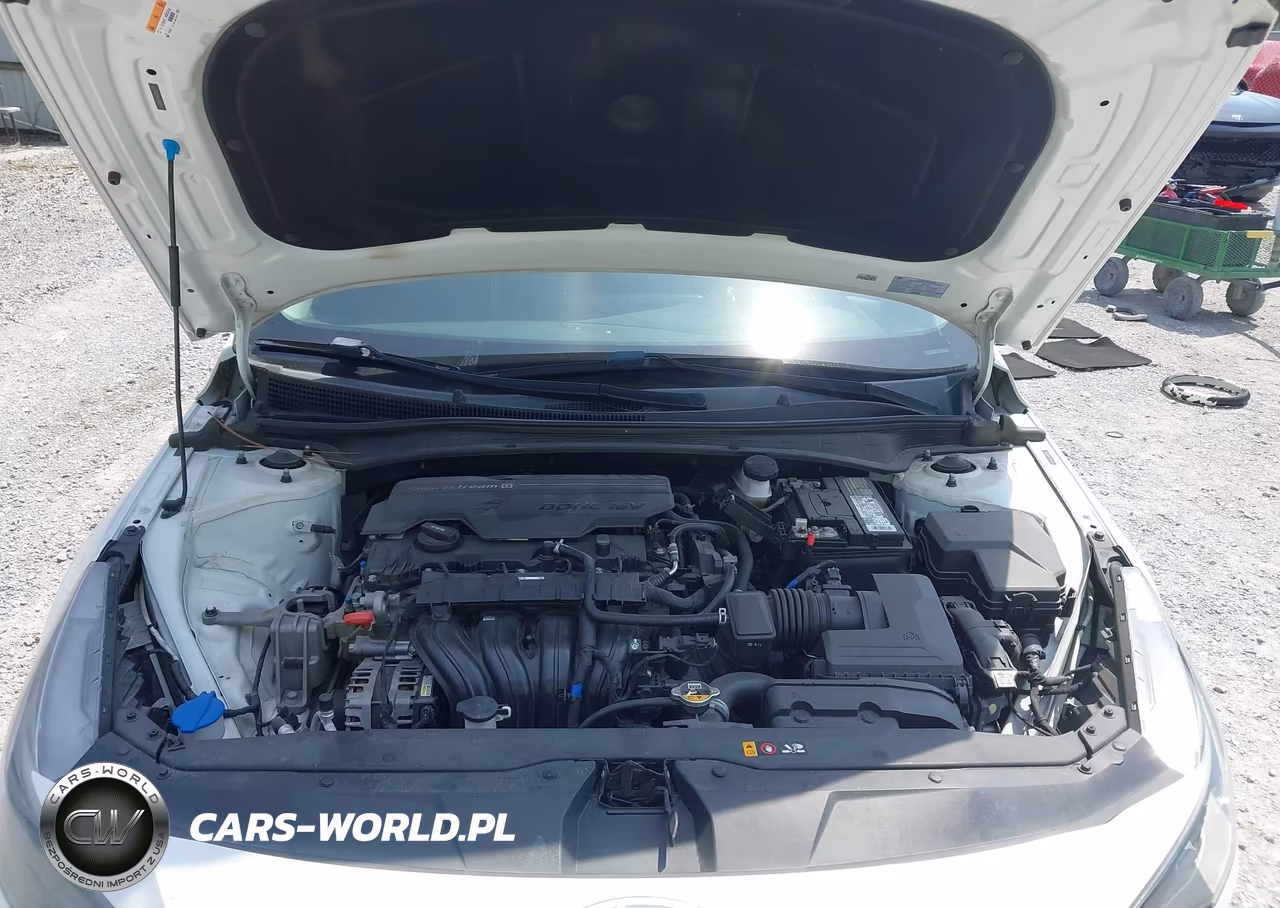 2021 Hyundai Elantra Sel VIN:5NPLM4AG5MH020631 - 10