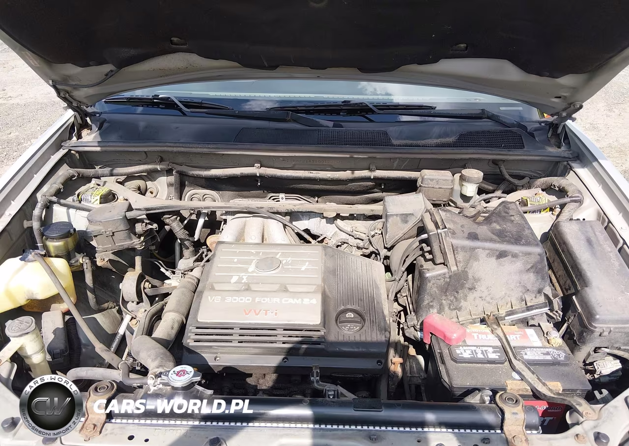 2001 Toyota Highlander V6 VIN:JTEHF21A710012390 - 10