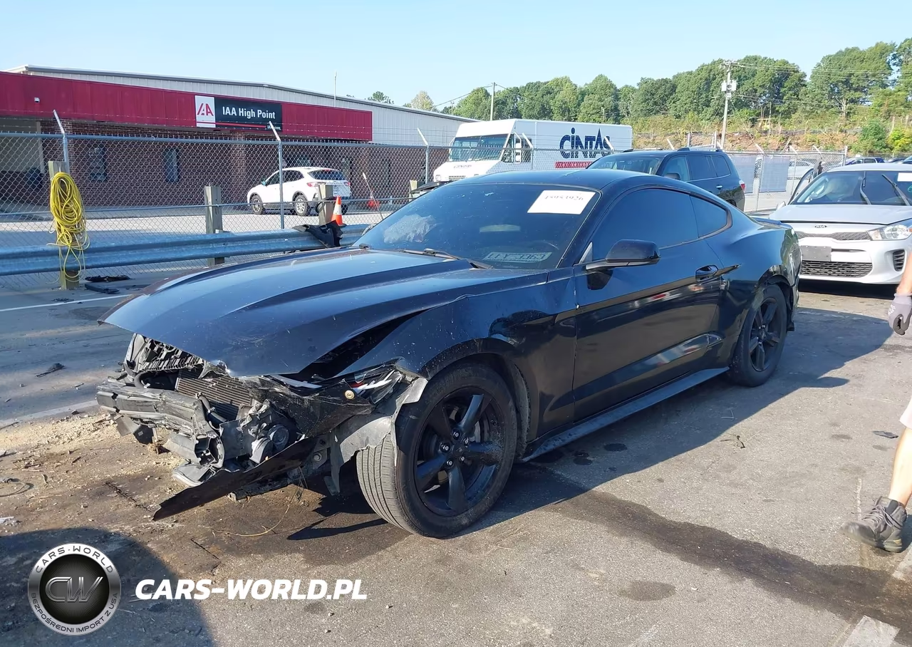 2015 Ford Mustang V6 VIN:1FA6P8AM1F5329698 - 2