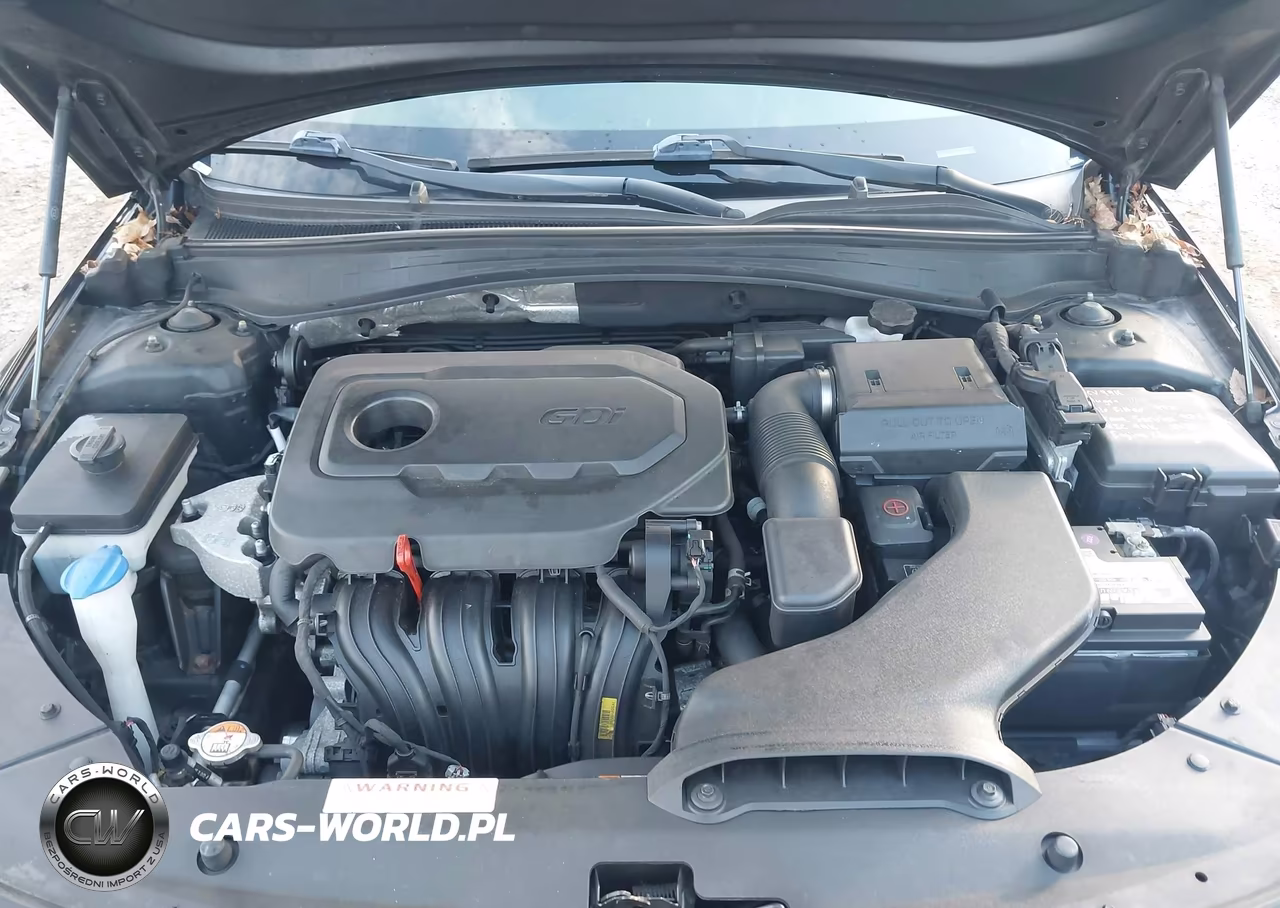 2018 Kia Optima Lx VIN:5XXGT4L3XJG233919 - 10