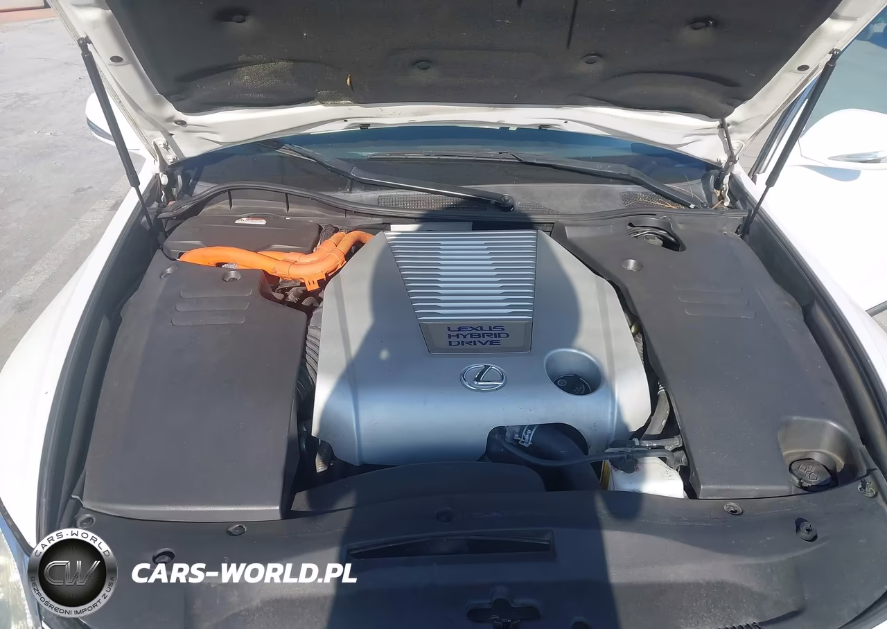 2010 Lexus Gs 450H VIN:JTHBC1KS0A5021115 - 10