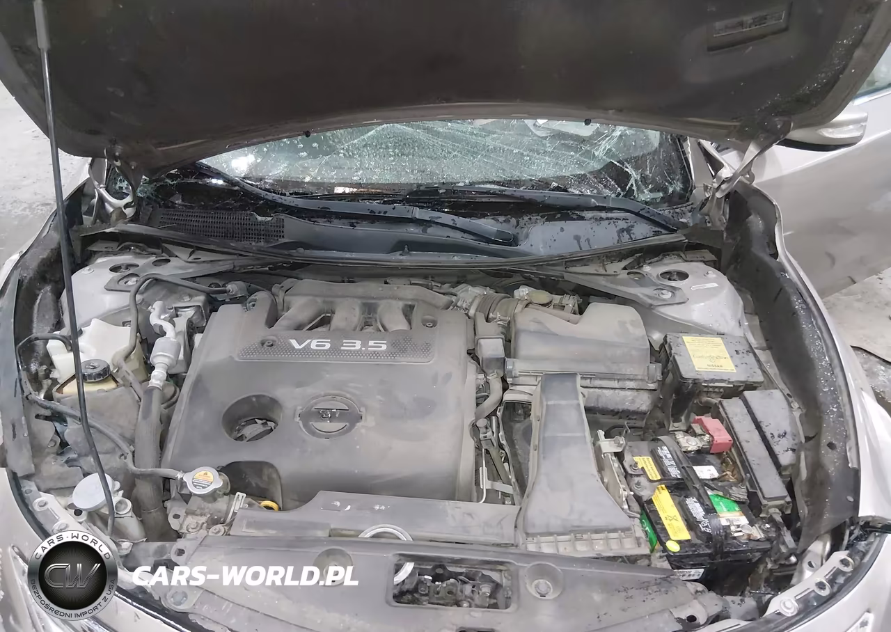 2014 Nissan Altima 3.5 Sl VIN:1N4BL3AP3EN242939 - 10
