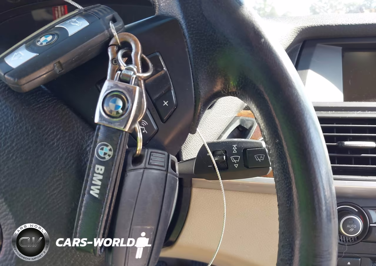 2010 BMW X5 xDrive30I VIN:5UXFE4C54AL381666 - 11