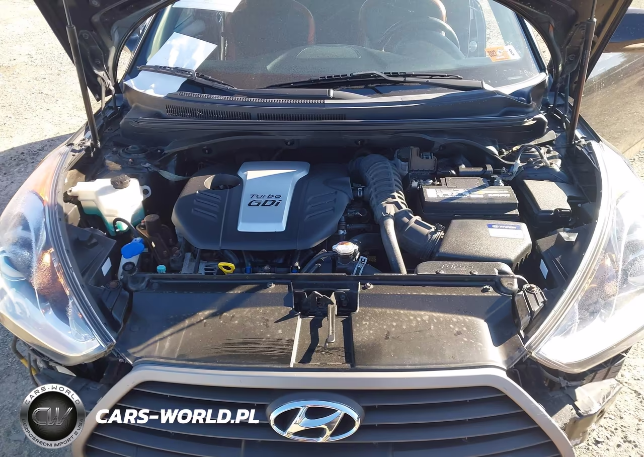 2017 Hyundai Veloster Turbo VIN:KMHTC6AEXHU313915 - 10
