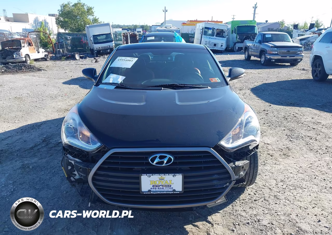 2017 Hyundai Veloster Turbo VIN:KMHTC6AEXHU313915 - 13