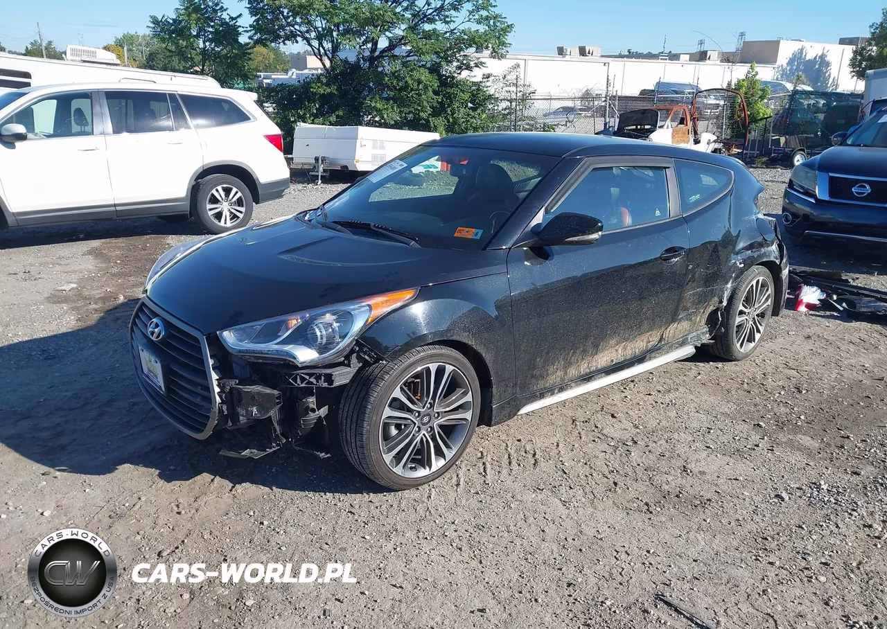 2017 Hyundai Veloster Turbo VIN:KMHTC6AEXHU313915 - 2