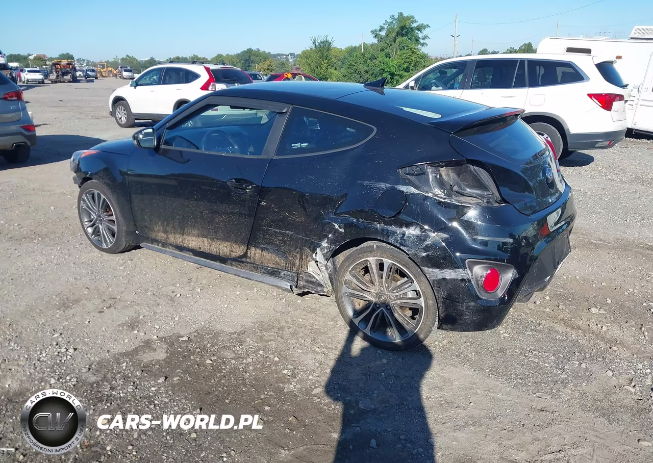 2017 Hyundai Veloster Turbo VIN:KMHTC6AEXHU313915 - 3