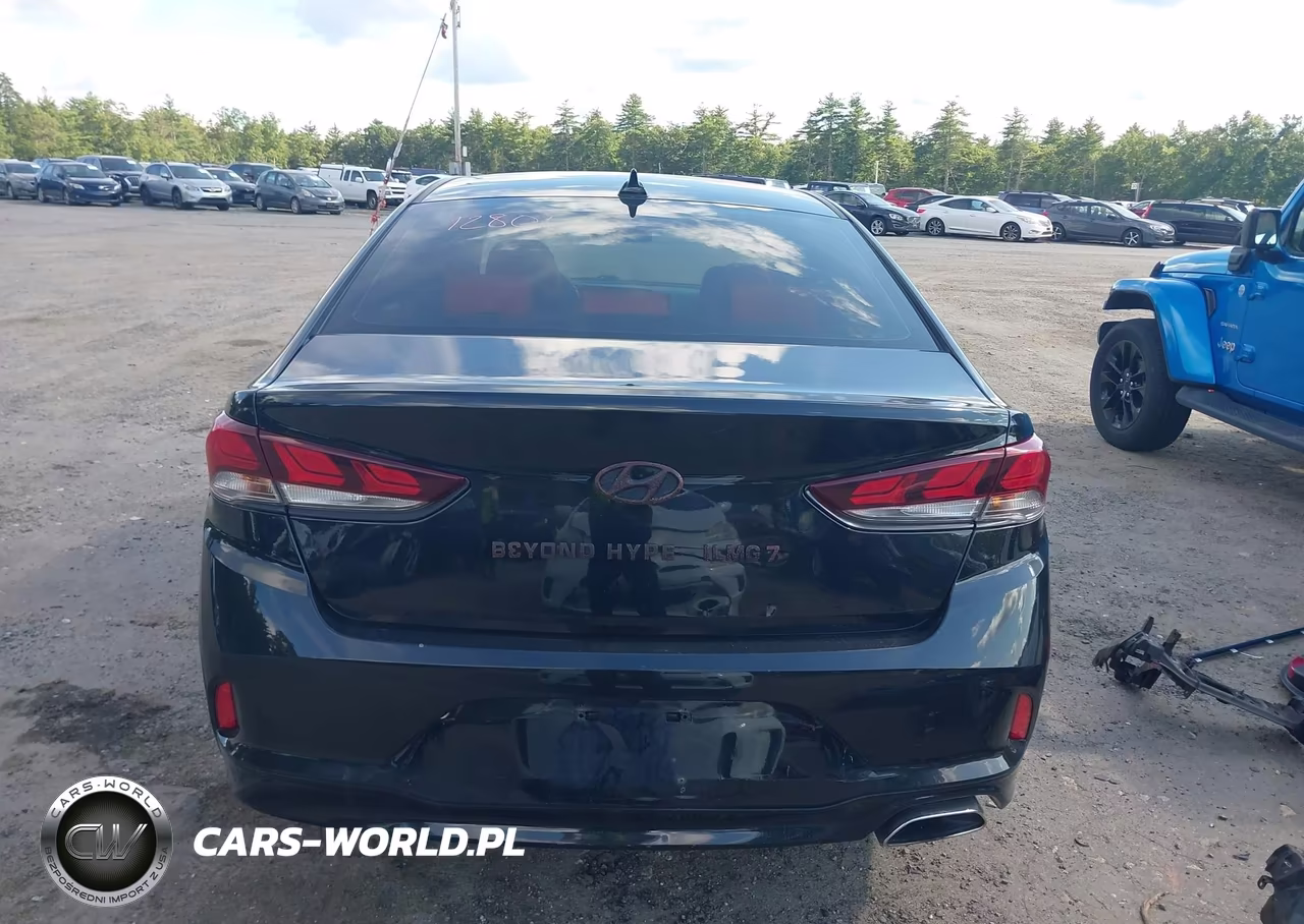2019 Hyundai Sonata Se VIN:5NPE24AF6KH795765 - 17