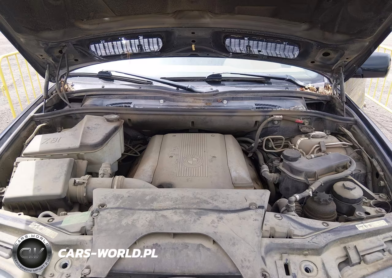 2003 BMW X5 4.4I VIN:5UXFB33593LH45492 - 10