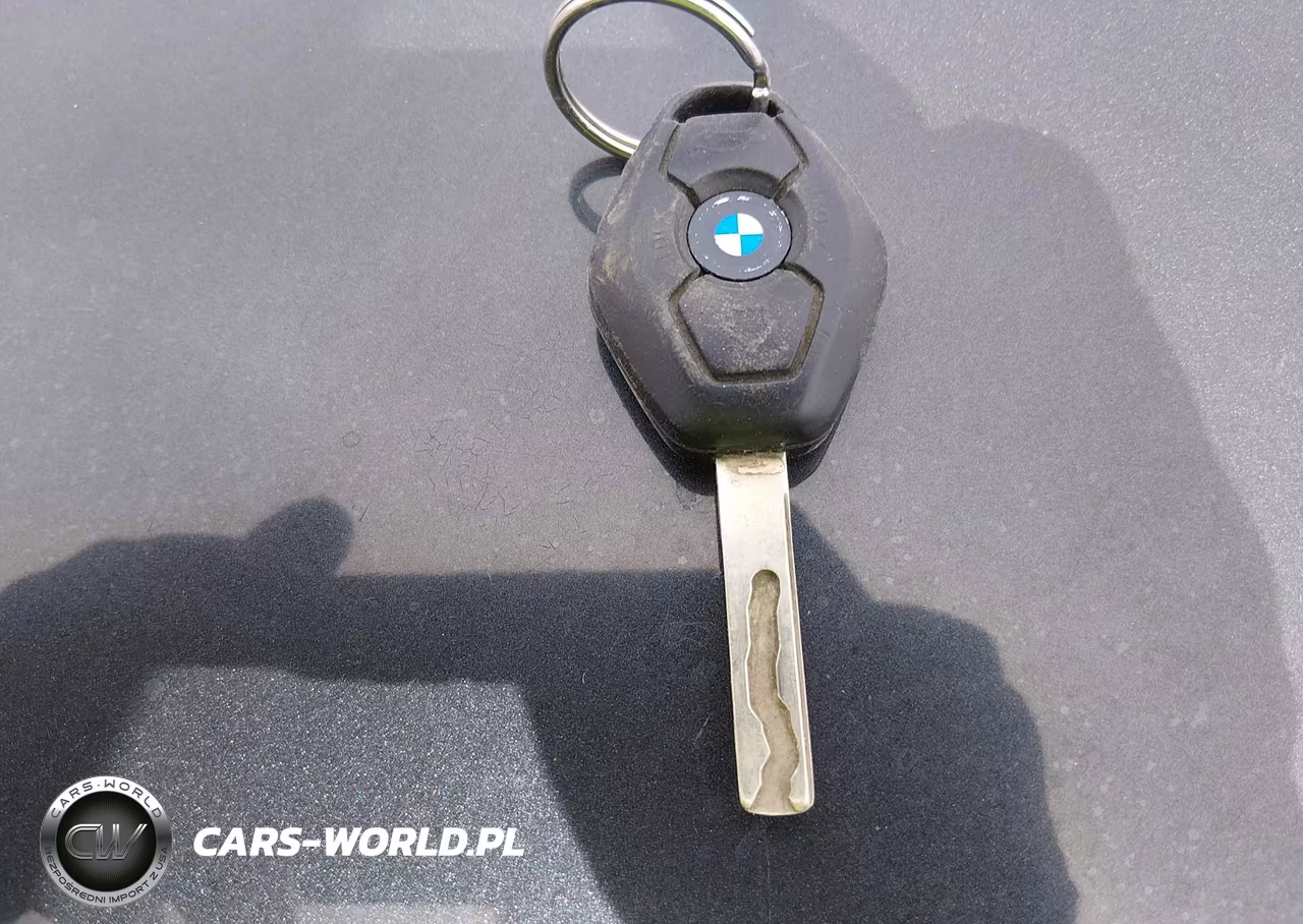 2003 BMW X5 4.4I VIN:5UXFB33593LH45492 - 11
