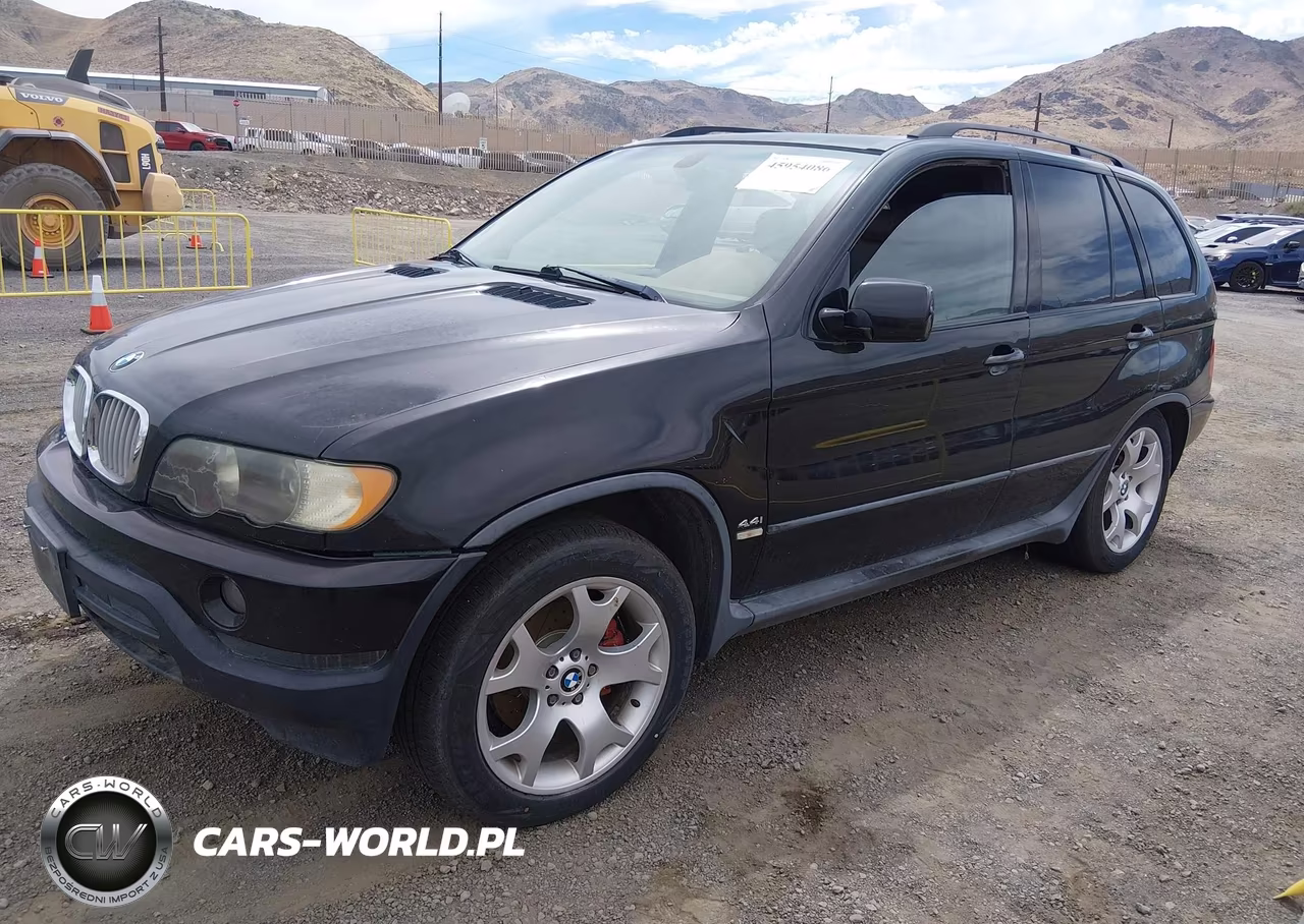2003 BMW X5 4.4I VIN:5UXFB33593LH45492 - 2