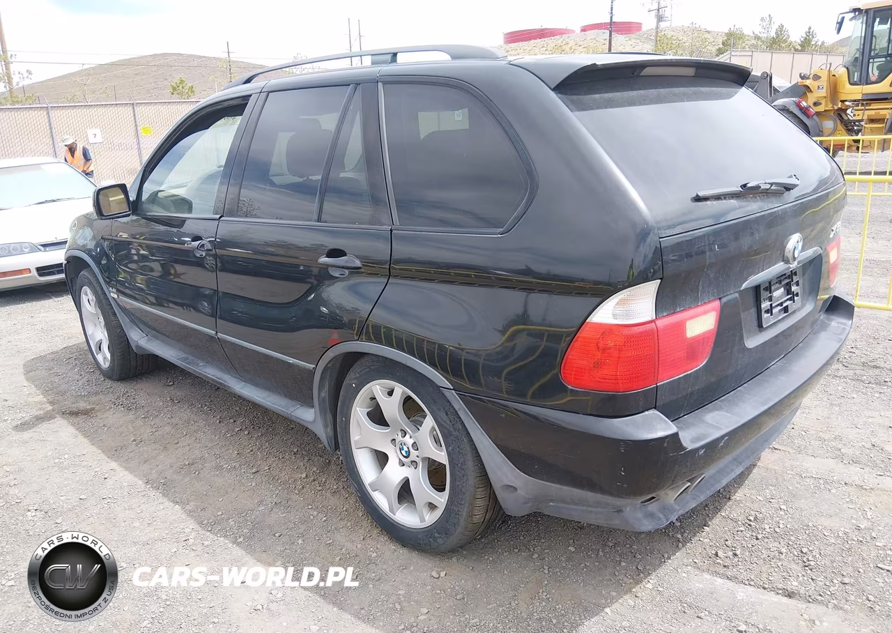 2003 BMW X5 4.4I VIN:5UXFB33593LH45492 - 3