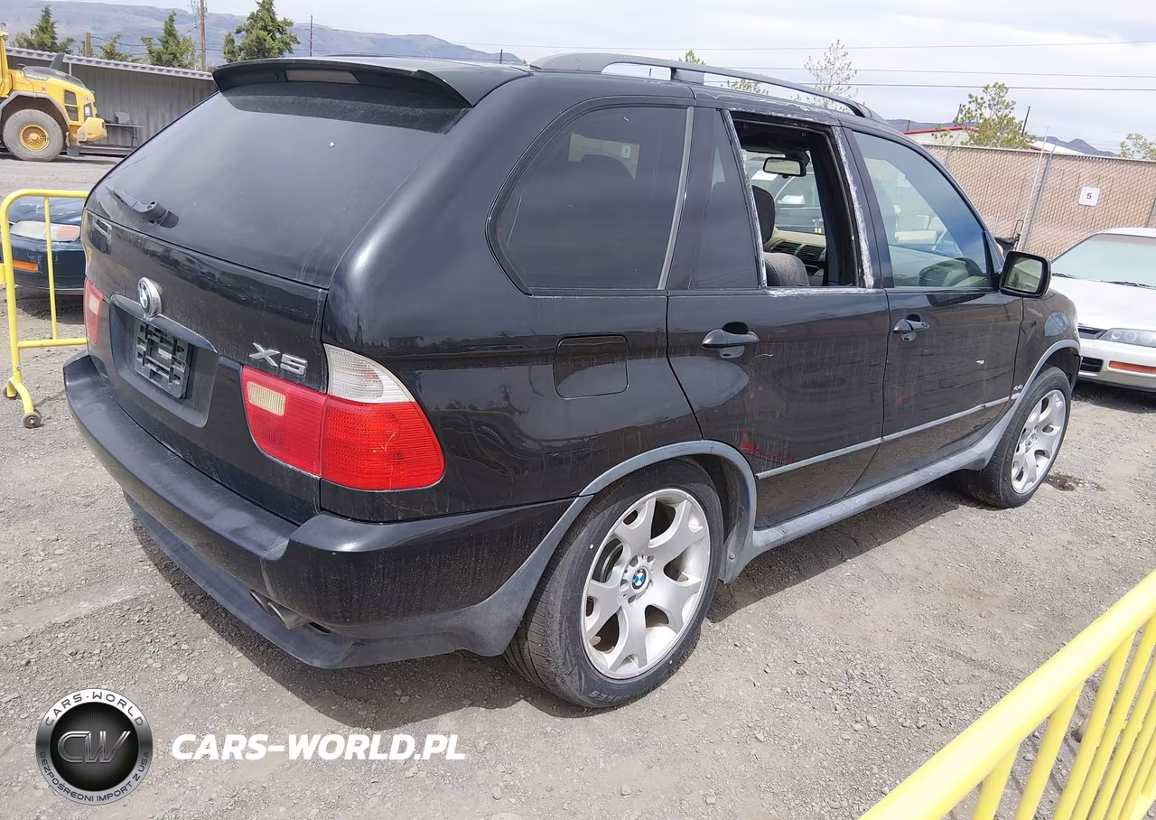 2003 BMW X5 4.4I VIN:5UXFB33593LH45492 - 4