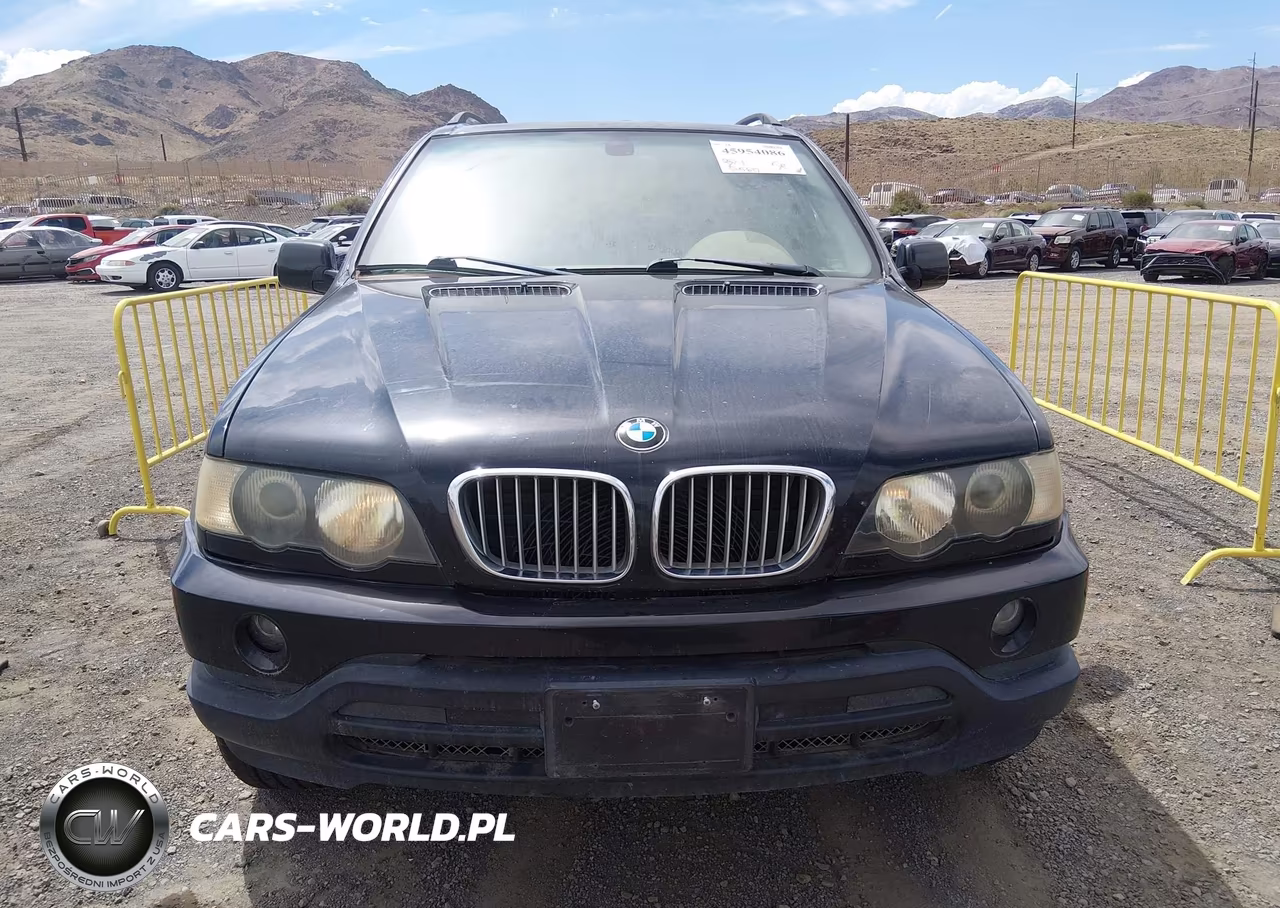 2003 BMW X5 4.4I VIN:5UXFB33593LH45492 - 6