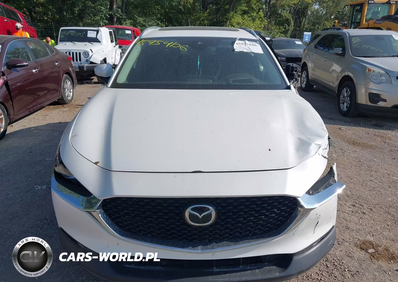 2021 Mazda Cx-30 Premium VIN:3MVDMBDL9MM317248 - 11
