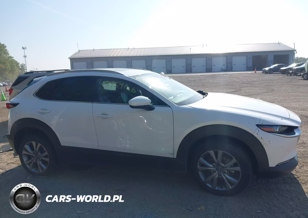 2021 Mazda Cx-30 Premium VIN:3MVDMBDL9MM317248 - 12