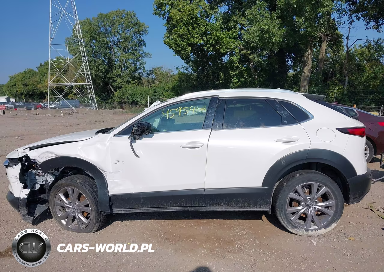 2021 Mazda Cx-30 Premium VIN:3MVDMBDL9MM317248 - 13