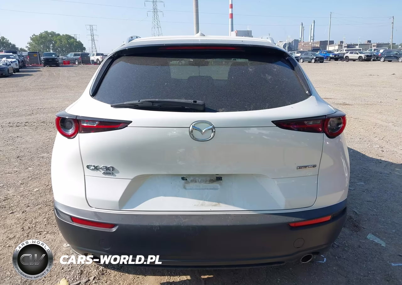 2021 Mazda Cx-30 Premium VIN:3MVDMBDL9MM317248 - 15