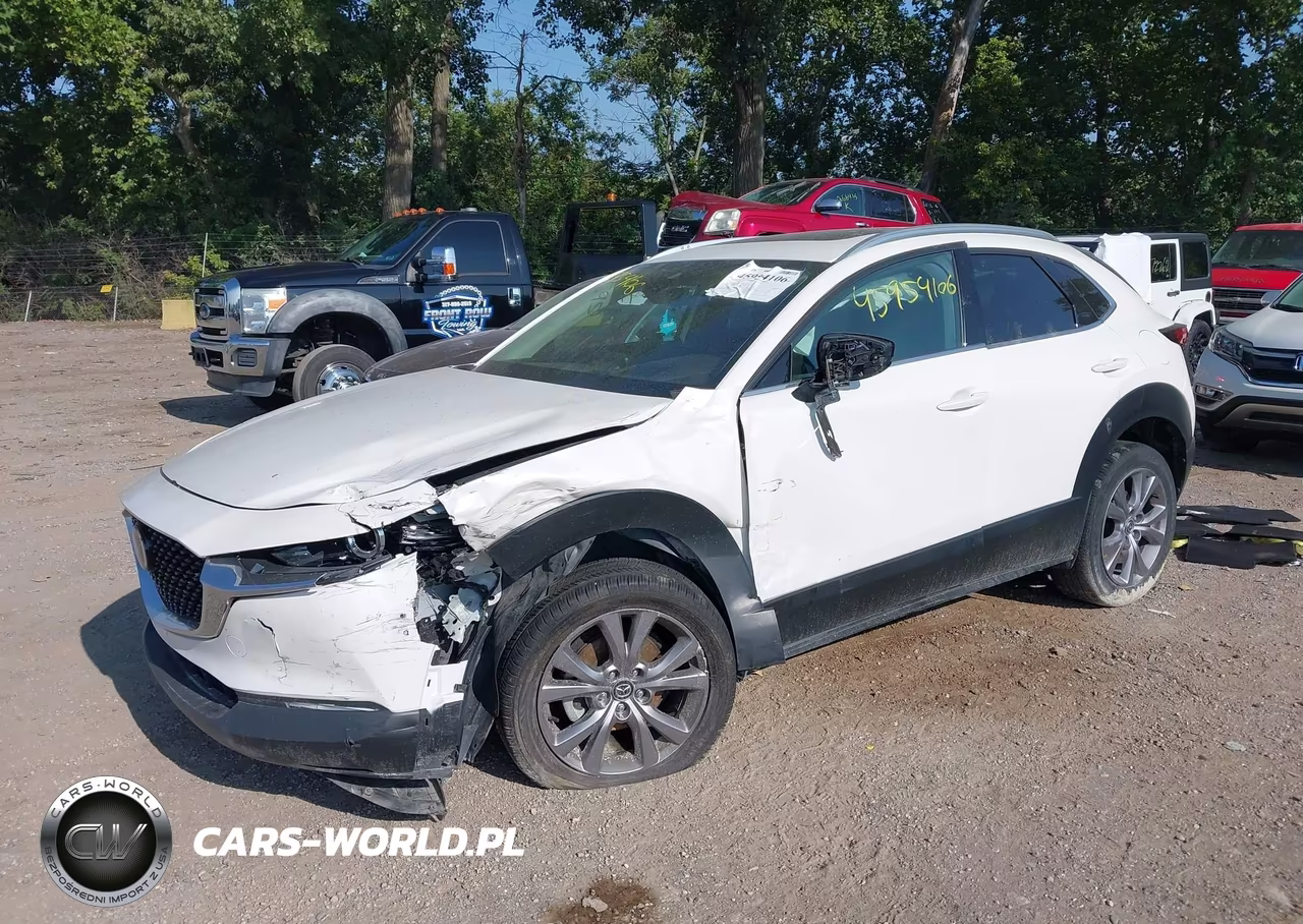 2021 Mazda Cx-30 Premium VIN:3MVDMBDL9MM317248 - 2
