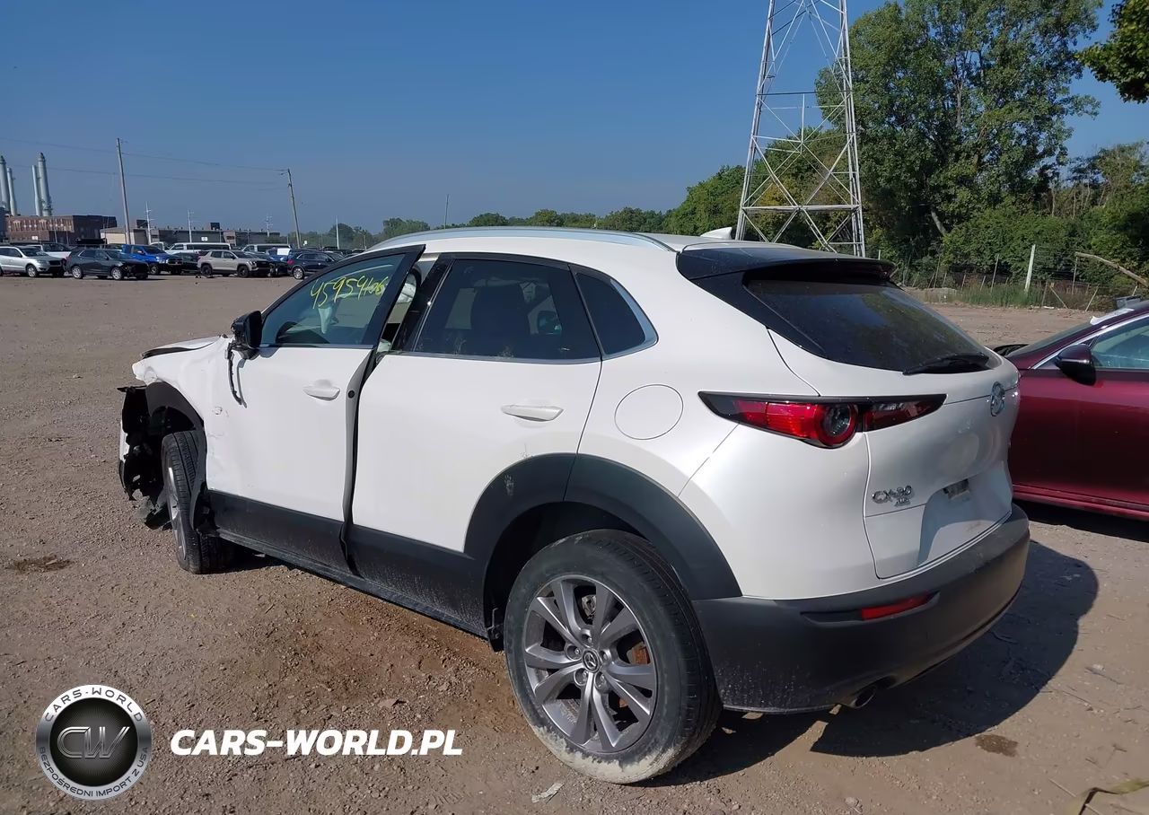 2021 Mazda Cx-30 Premium VIN:3MVDMBDL9MM317248 - 3