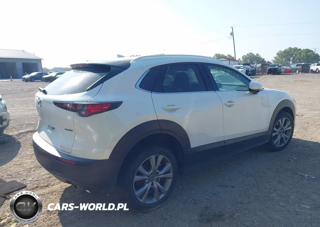 2021 Mazda Cx-30 Premium VIN:3MVDMBDL9MM317248 - 4