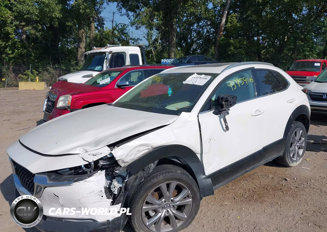 2021 Mazda Cx-30 Premium VIN:3MVDMBDL9MM317248 - 6