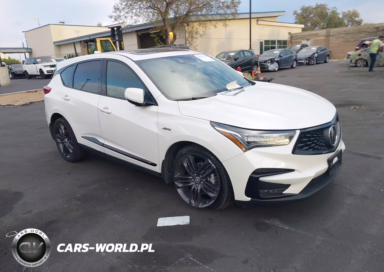 2019 Acura Rdx A-Spec Package