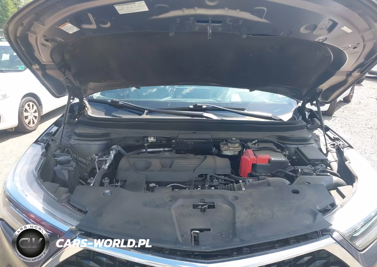 2020 Acura Rdx Advance Package VIN:5J8TC2H75LL010190 - 10