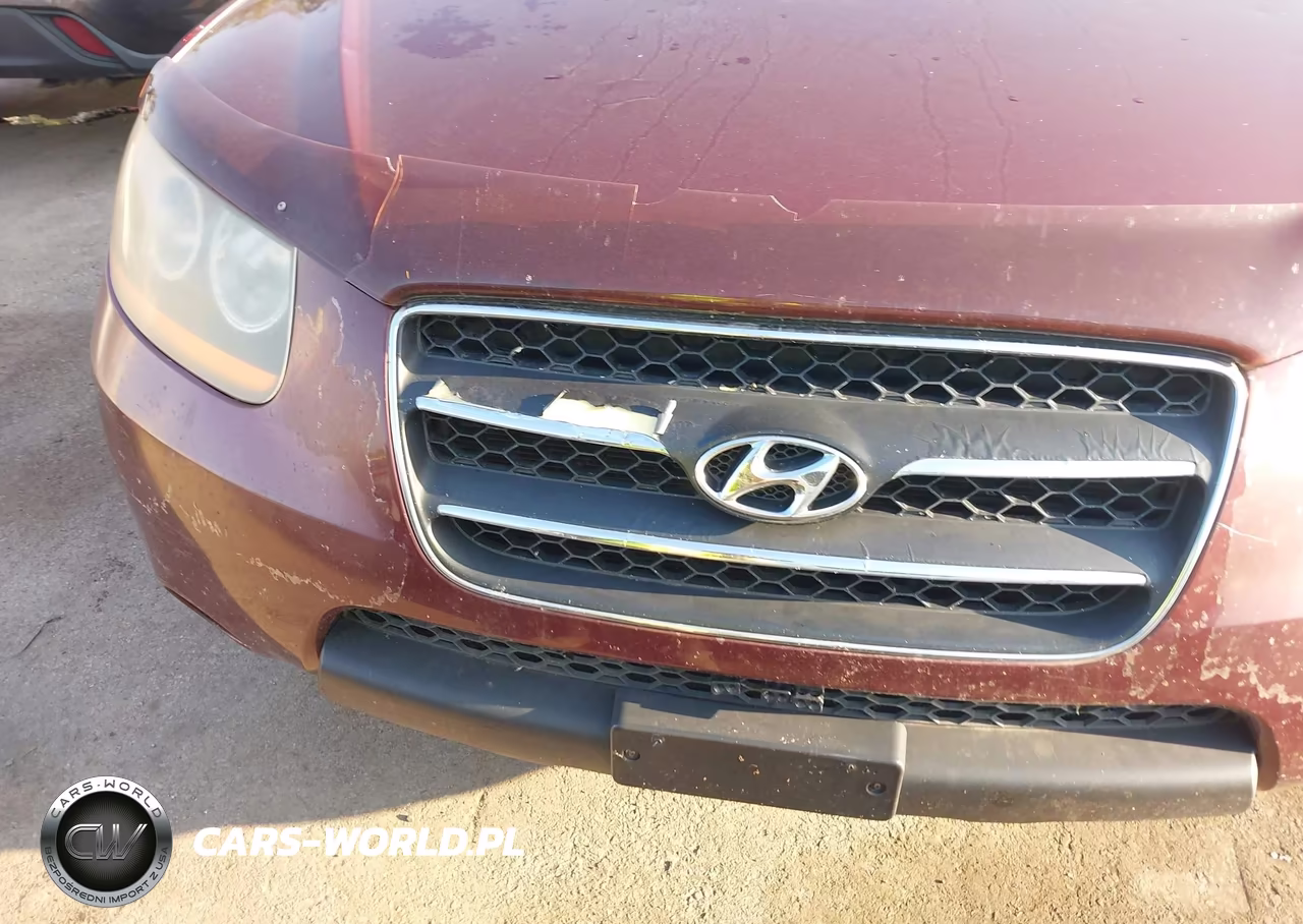 2009 Hyundai Santa Fe Limited VIN:5NMSH73E09H250627 - 21