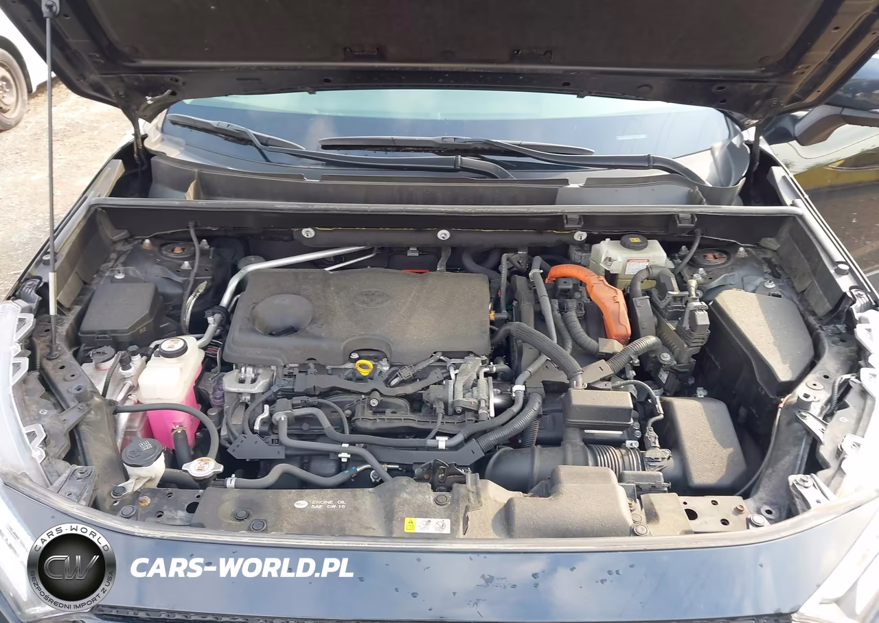 2019 Toyota Rav4 Hybrid Xle VIN:JTMRWRFV2KD024258 - 10