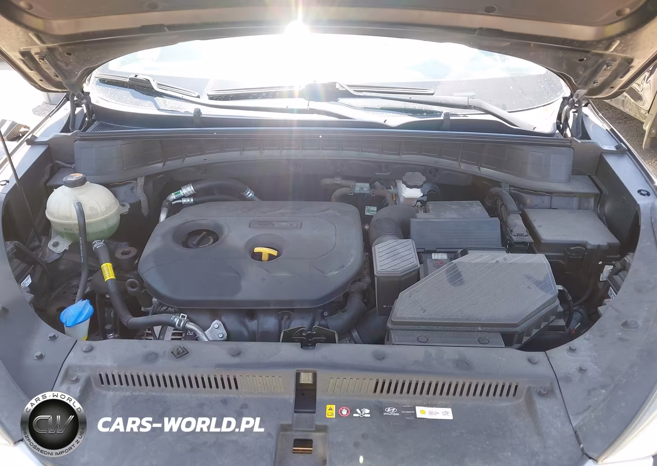 2020 Hyundai Tucson Value VIN:KM8J3CA49LU167416 - 10