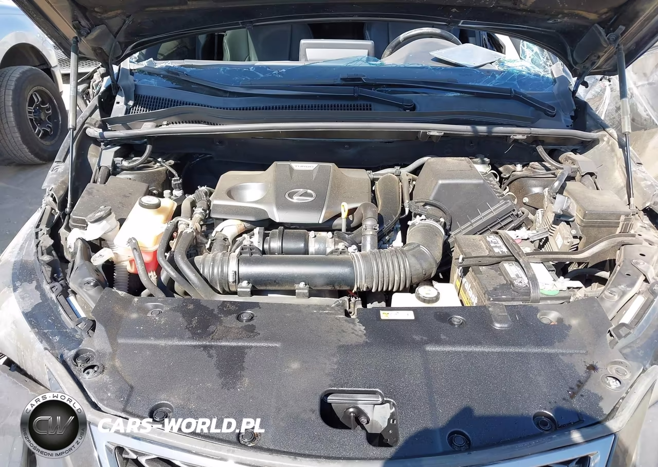 2019 Lexus Nx 300 F Sport VIN:JTJYARBZ0K2139808 - 10