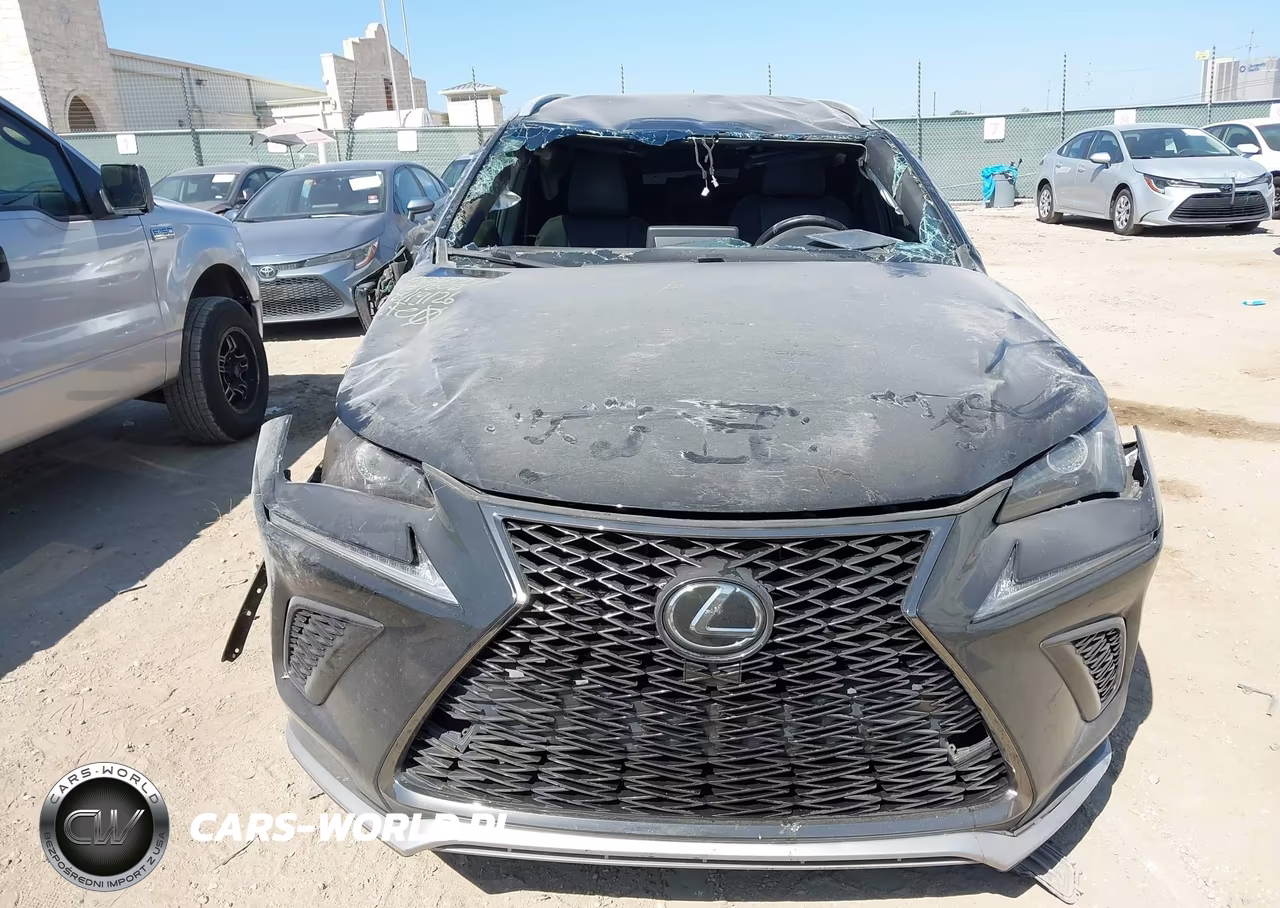 2019 Lexus Nx 300 F Sport VIN:JTJYARBZ0K2139808 - 11